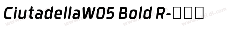 CiutadellaW05 Bold R字体转换 CiutadellaW05 Bold R字体转换